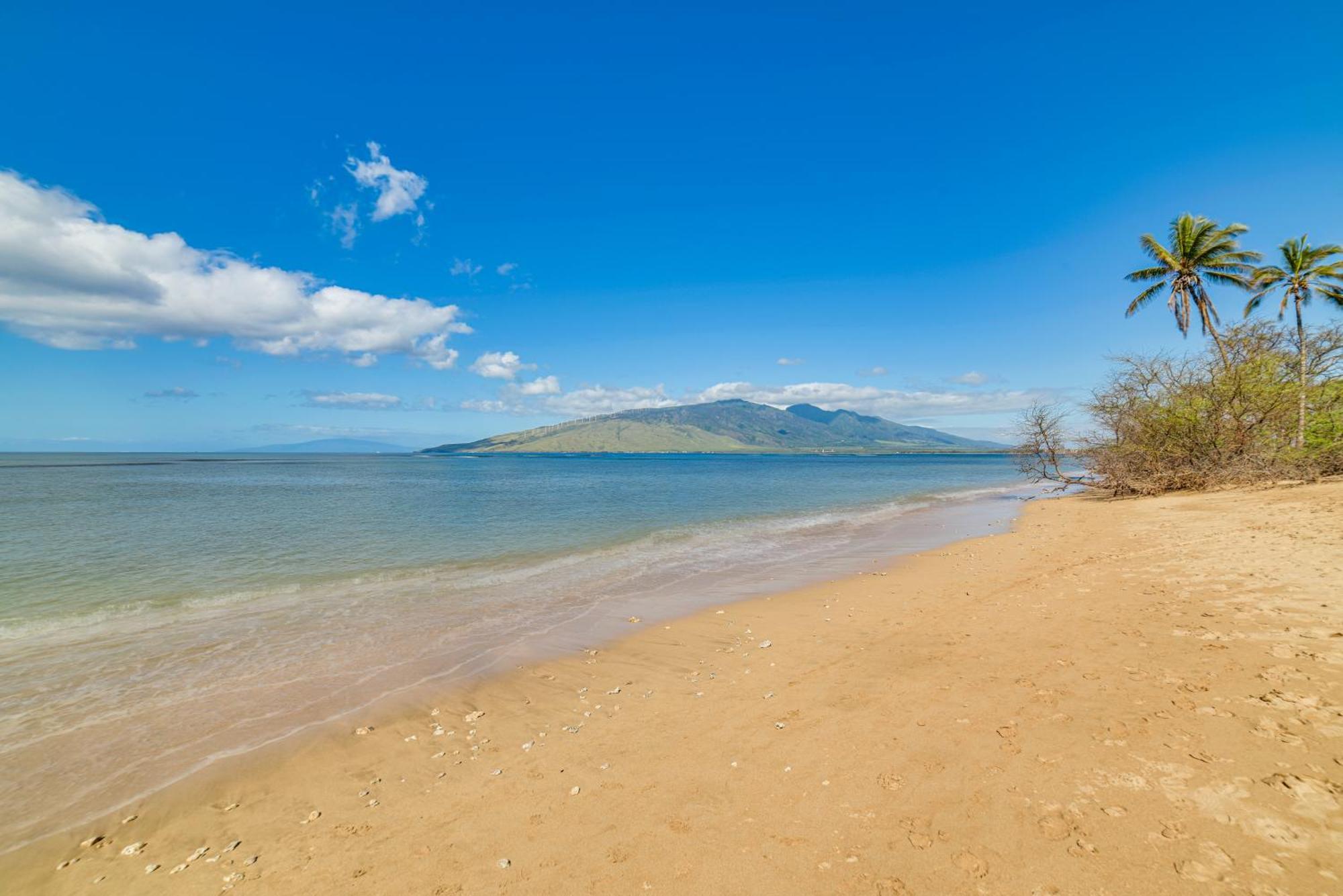 Beachside Kihei Vacation Rental With Stunning Views! Dış mekan fotoğraf
